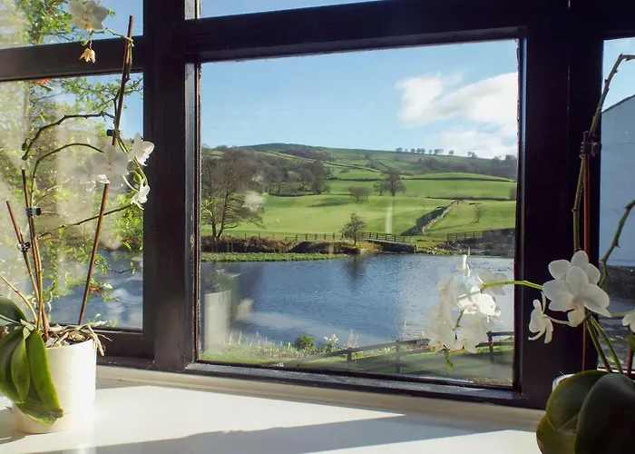 Four Seasons Стейвли